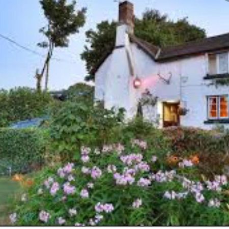The Northmore Arms Throwleigh Exterior foto